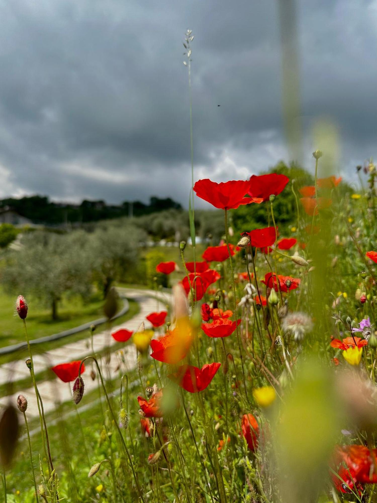 Holiday Home Sovenigo Puegnago del Garda Exterior photo